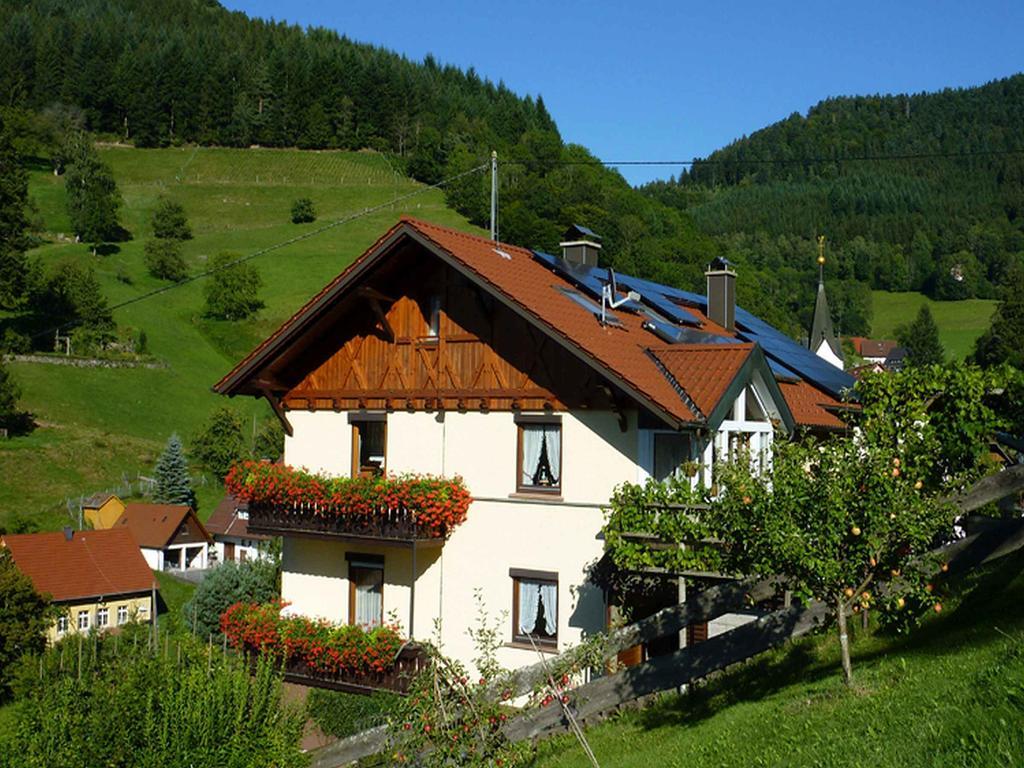Haus Harter Appartement Wolfach Buitenkant foto