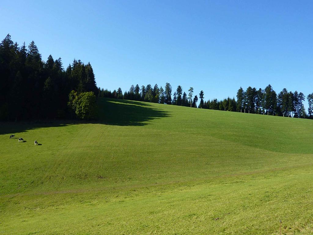 Haus Harter Appartement Wolfach Buitenkant foto